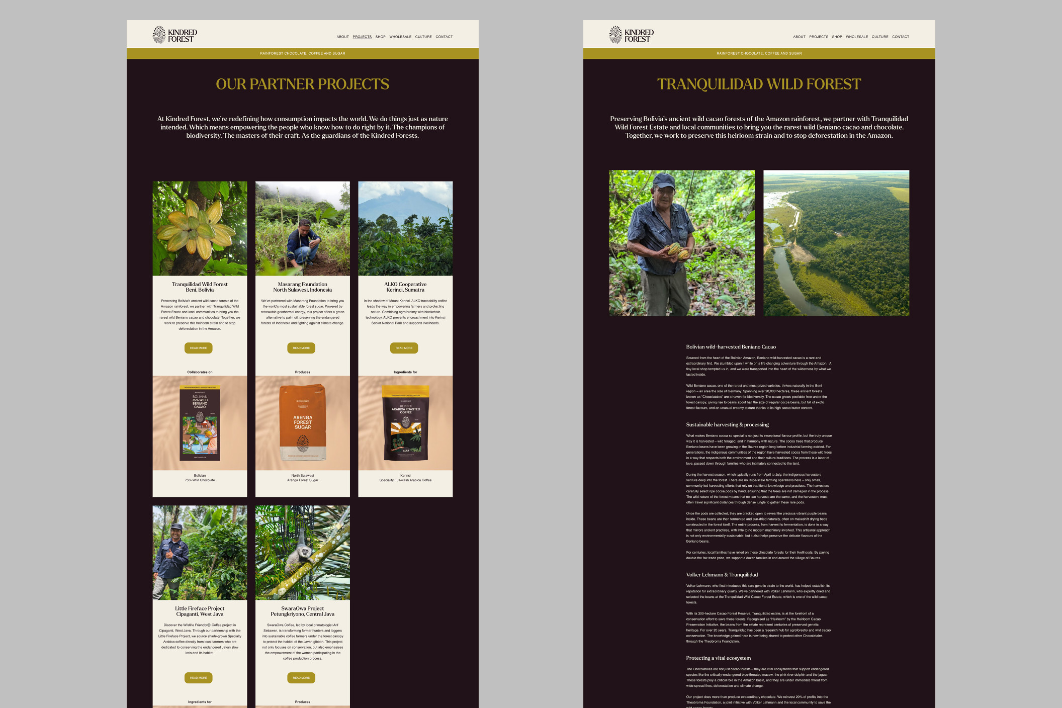 Kindred Forest project pages