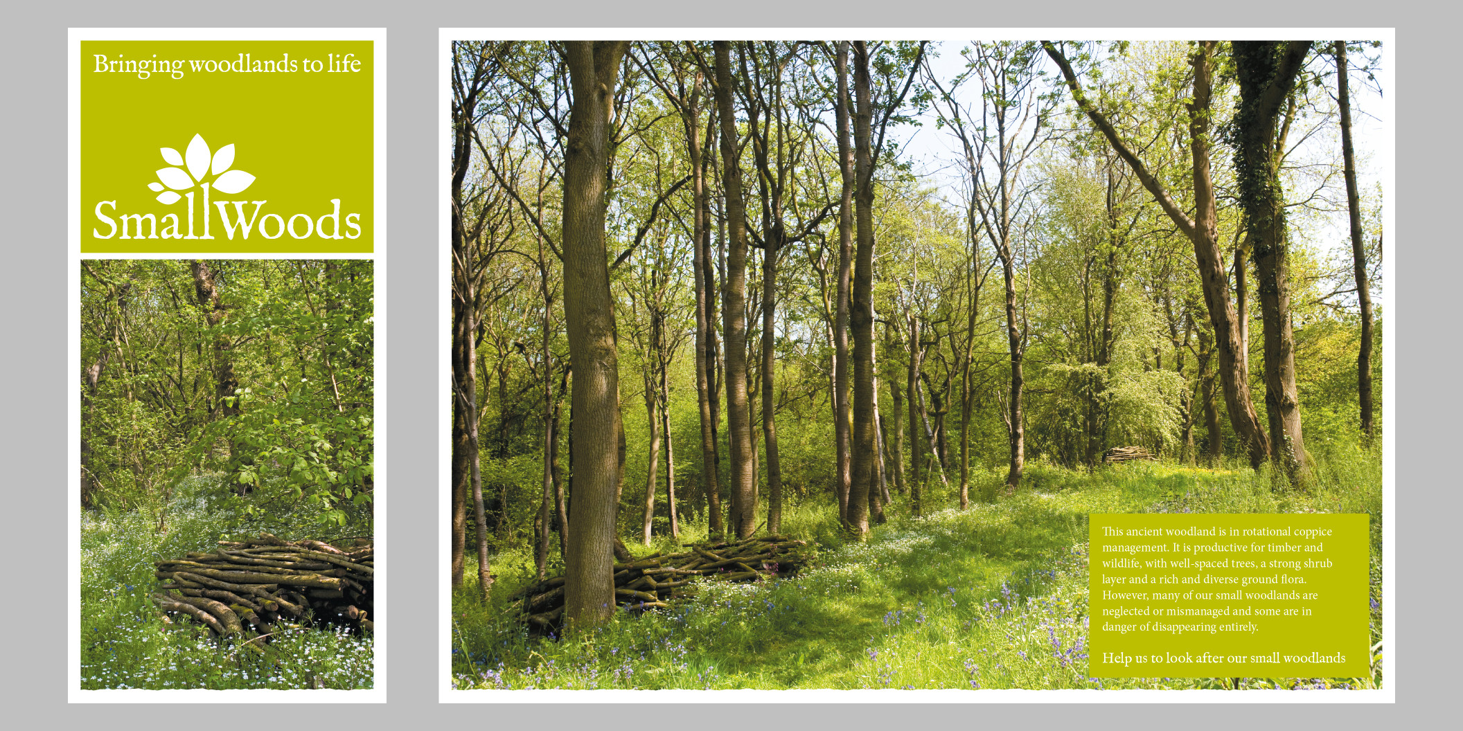 Small Woods general leaflet